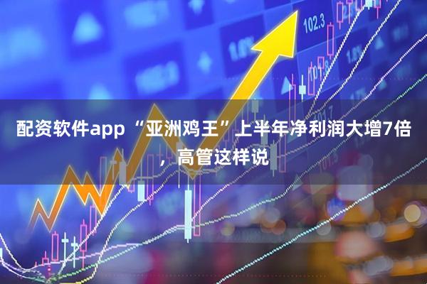 配资软件app “亚洲鸡王”上半年净利润大增7倍，高管这样说