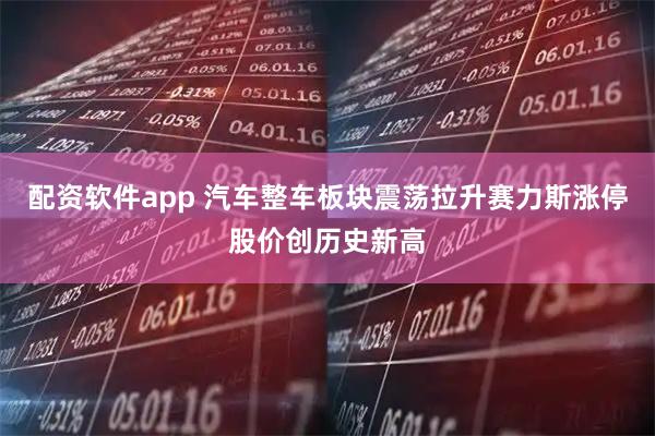 配资软件app 汽车整车板块震荡拉升赛力斯涨停股价创历史新高