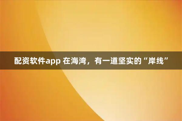 配资软件app 在海湾,有一道坚实的“岸线”