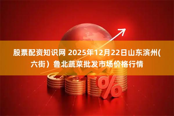 股票配资知识网 2025年12月22日山东滨州(六街)鲁北蔬菜批发市场价格行情